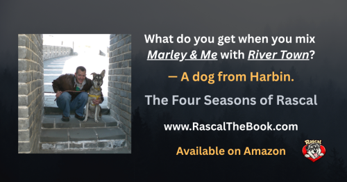 What do you get when you mix Marley & Me with River Town? - A dog from Harbin. "The Four Seasons of Rascal."